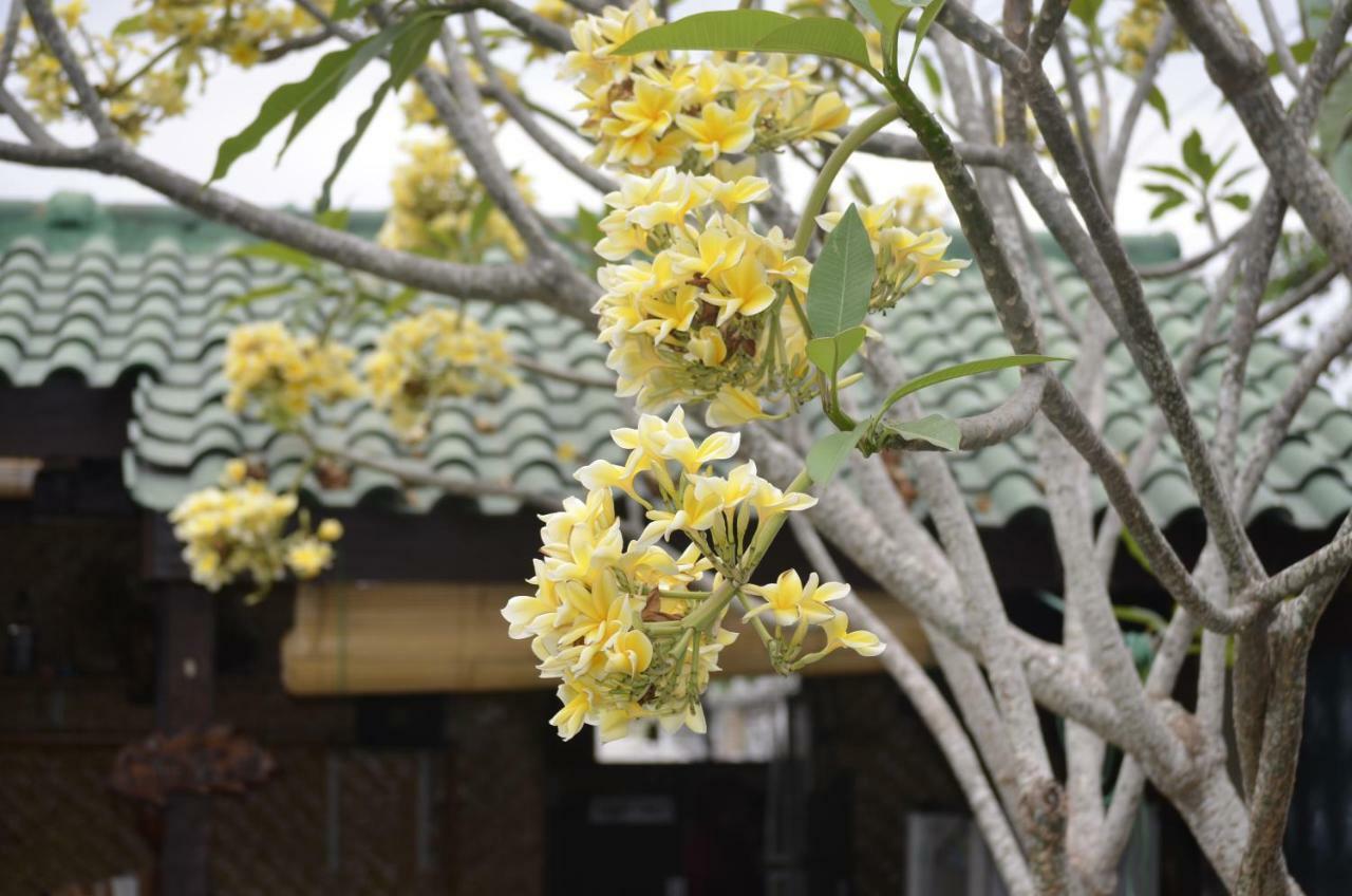 Villa Yukie Senggigi Montongbuwoh Exteriör bild